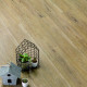 parchet lvt-pvc Classic R. Light Brown